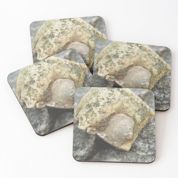 Item preview, Falls of the Ohio Fossil Hunter 08 designed and sold by Relics Of The Day.