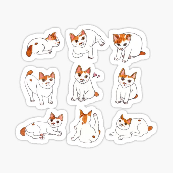 Nine Cats Sticker