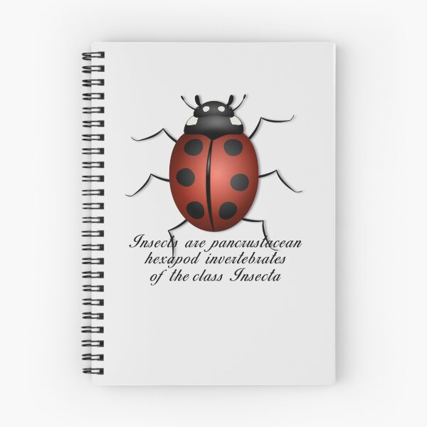 Item preview, Insects are invertebrates  Essential T-Shirt designed and sold by EvaRosado.