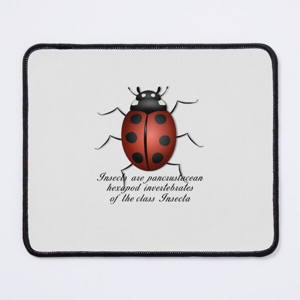 Item preview, Insects are invertebrates Essential T-Shirt designed and sold by EvaRosado.