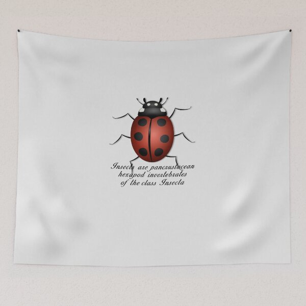 Item preview, Insects are invertebrates  Essential T-Shirt designed and sold by EvaRosado.