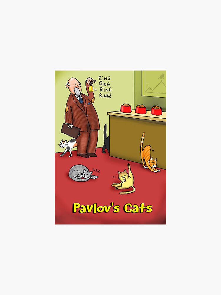 pavlov cat