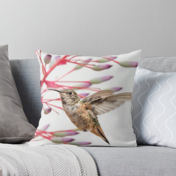 Item preview, Young Allen's Hummingbird designed and sold by MCHerdering Photography.