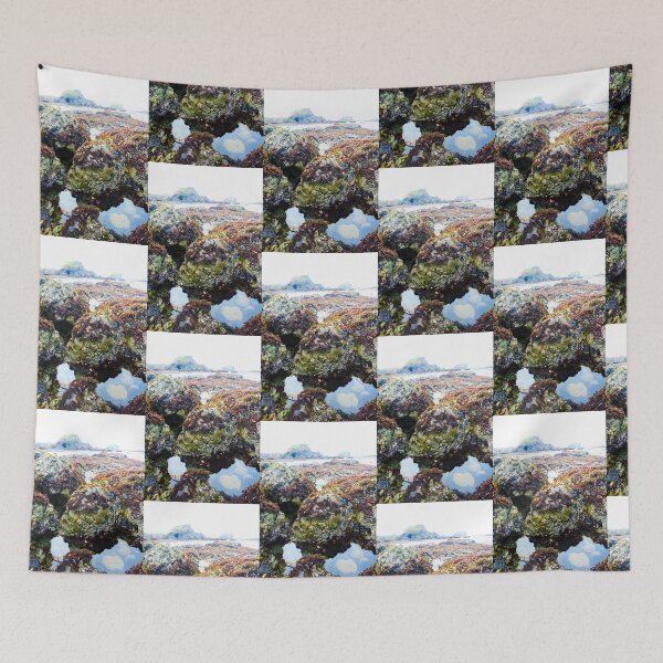 Item preview, Treasure Cove Tide Pools 03 designed and sold by IreKire.