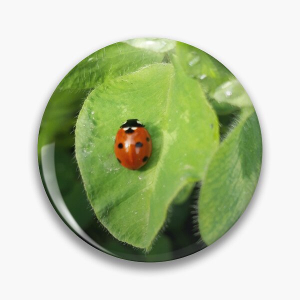 Item preview, Ladybird designed and sold by Aleksandra2112.