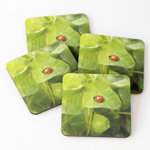 Item preview, Ladybird designed and sold by Aleksandra2112.