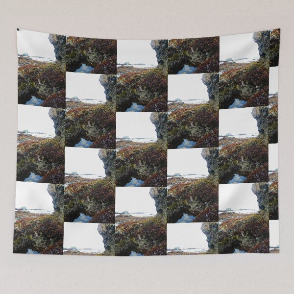 Item preview, Treasure Cove Tide Pools 04 designed and sold by IreKire.