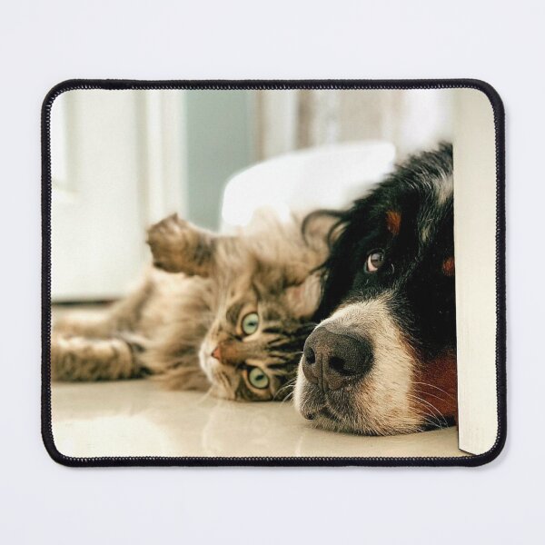 Item preview, cat and dog designed and sold by Marijela1.