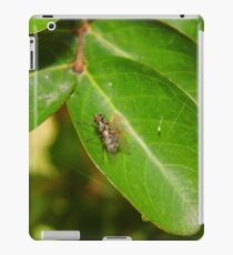 Fly iPad Case/Skin
