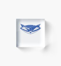 Sly Cooper - Distressed Acrylic Block
