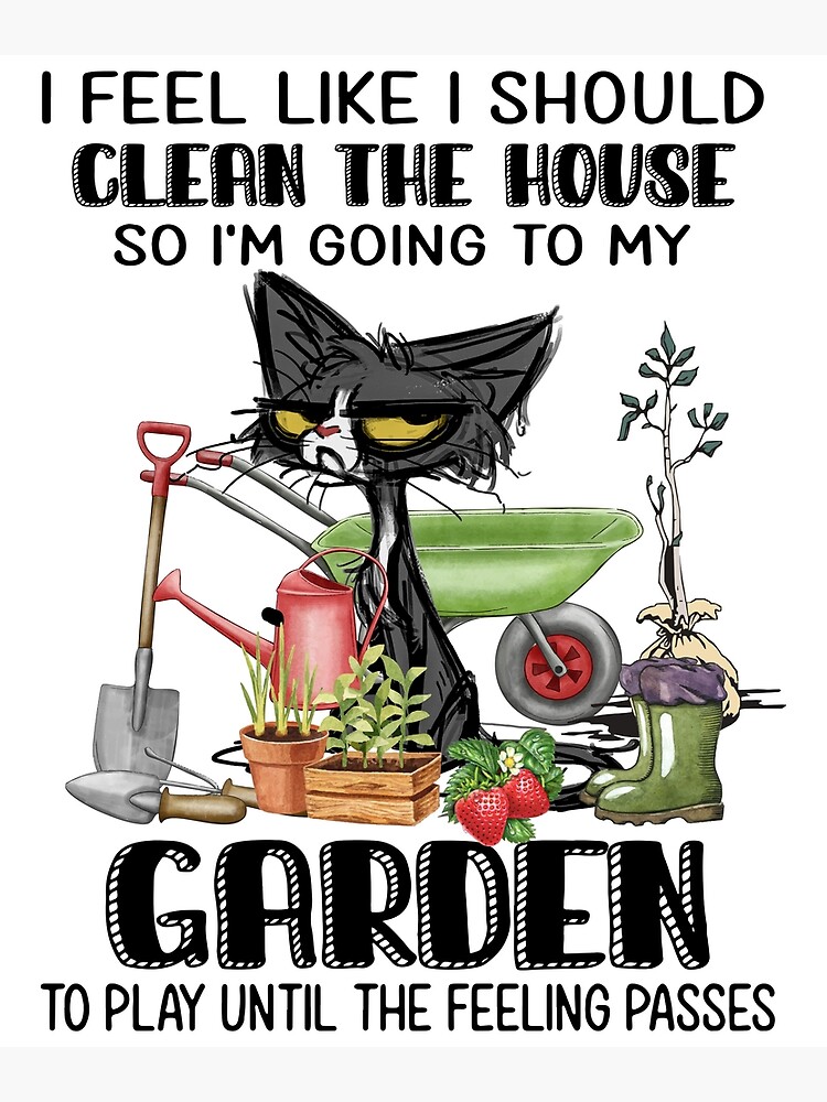 Cat Feel like I Should Clean The House So I'm Going To My Garden  Photographic Print