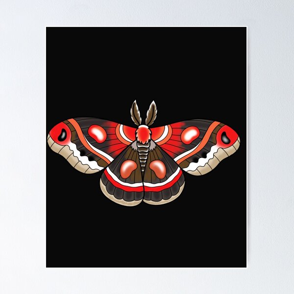 Aperçu de l'œuvre Papillon de nuit créée et vendue par SandyScharf.