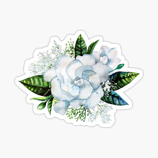 Vista previa del artículo con la obra «Viñeta Gardenia aquarelle et gypsophile», diseñado y vendido por SandyScharf.