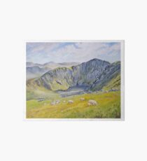 Springtime on Cader Idris. Art Board