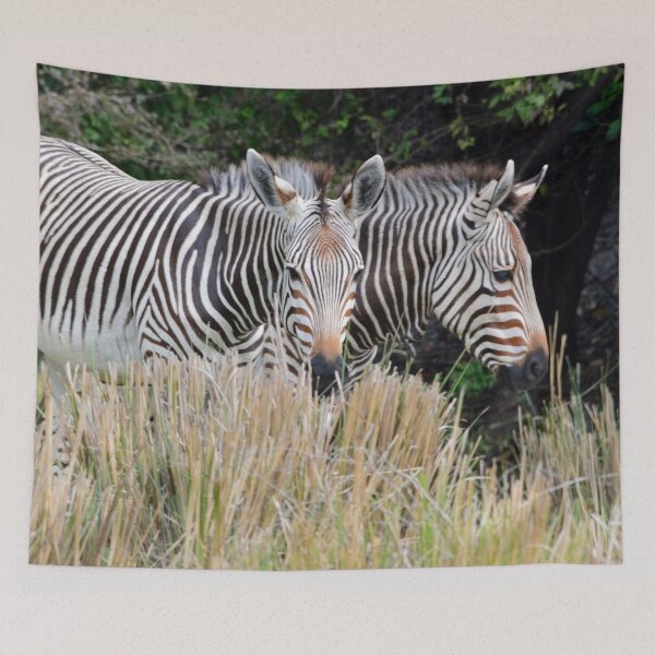 Item preview, Zebras designed and sold by Cody  VanDyke.