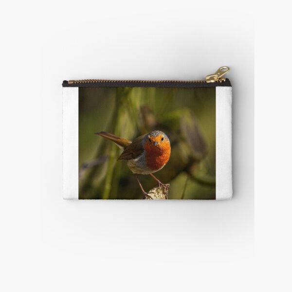 Item preview, Red Robin posado en una rama rota designed and sold by bladeuktm.