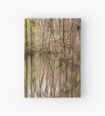 Southern Swamp Hardcover Journal