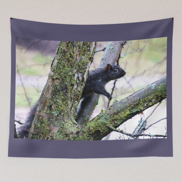 Item preview, Iowa Black Squirrel designed and sold by mokacat.