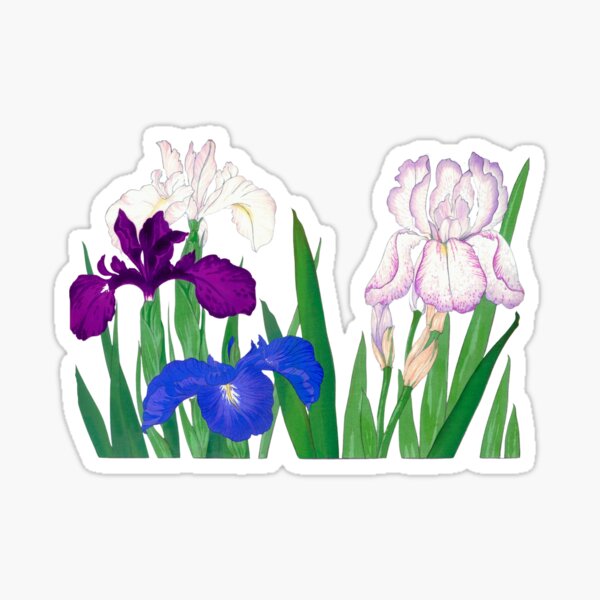 Item preview, Vintage Botanical Print of Iris by Tanigami Konan designed and sold by CatsPa.