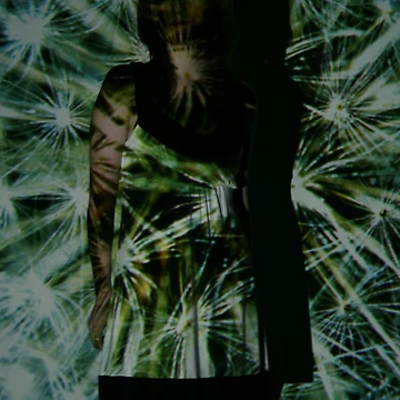 Artwork thumbnail, Projection: Explosive by Craig 'has a nice' Dick