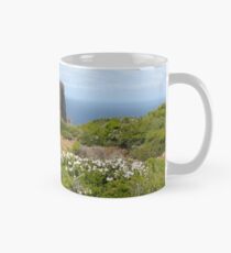 Towards end of Cape Raoul with Epacris in flower Mug