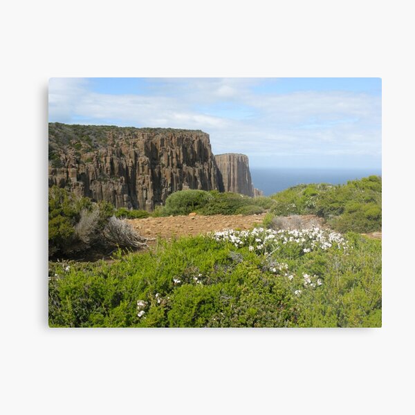 Item preview, Towards end of Cape Raoul with Epacris in flower designed and sold by PeterJF.