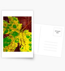 yellow leaf Postcards