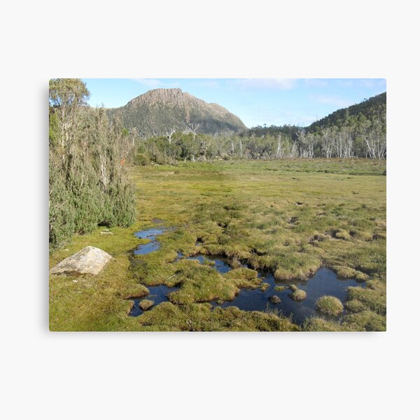 Item preview, Mount Rogoona from narrow open valley designed and sold by PeterJF.