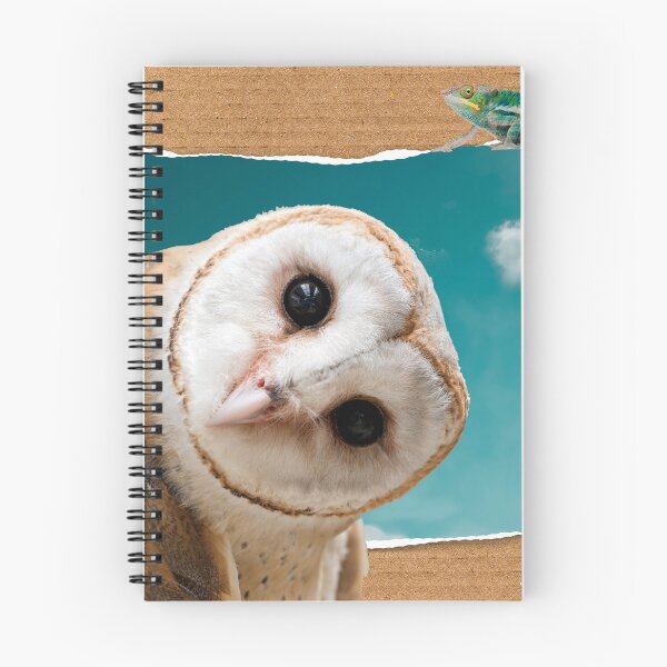 Item preview, Iguana and Owl designed and sold by Efrat Frank-Alster.