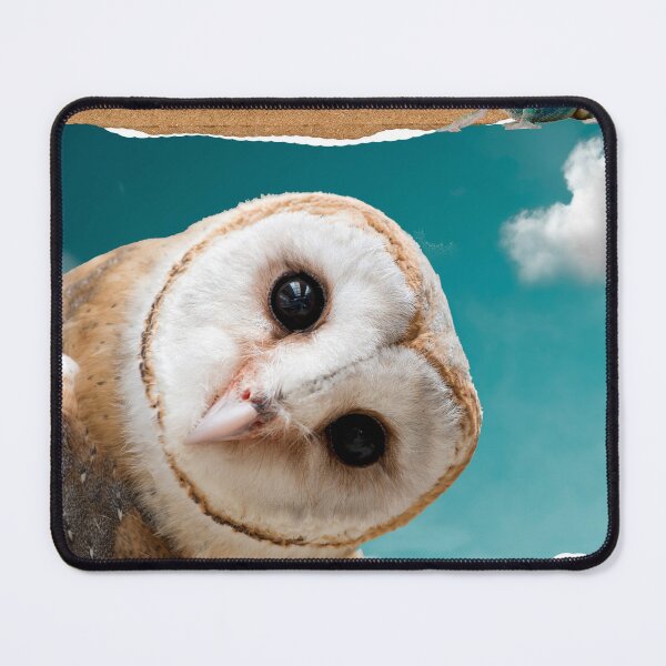 Item preview, Iguana and Owl designed and sold by Efrat Frank-Alster.