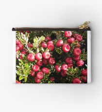 Cheeseberry on Mount Rogoona Studio Pouch