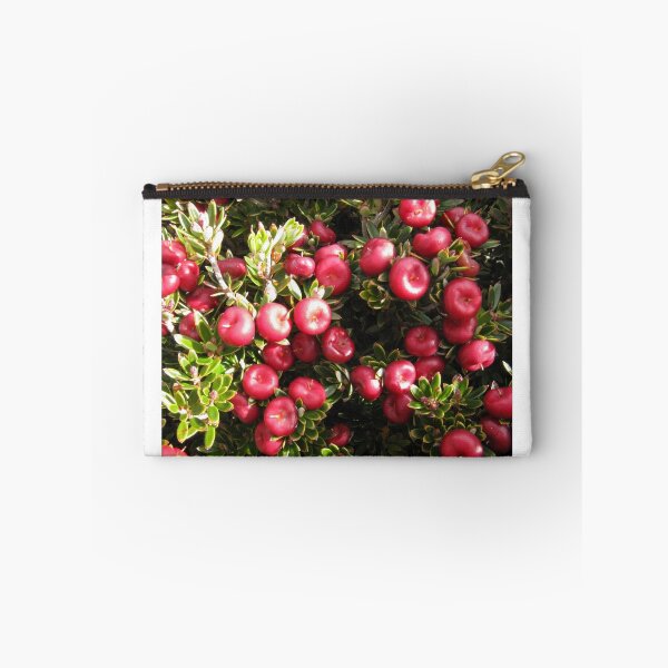 Item preview, Cheeseberry on Mount Rogoona  designed and sold by PeterJF.
