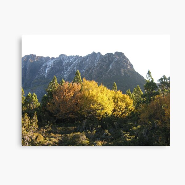 Item preview, Snowy east face of Cradle with Fagus designed and sold by PeterJF.