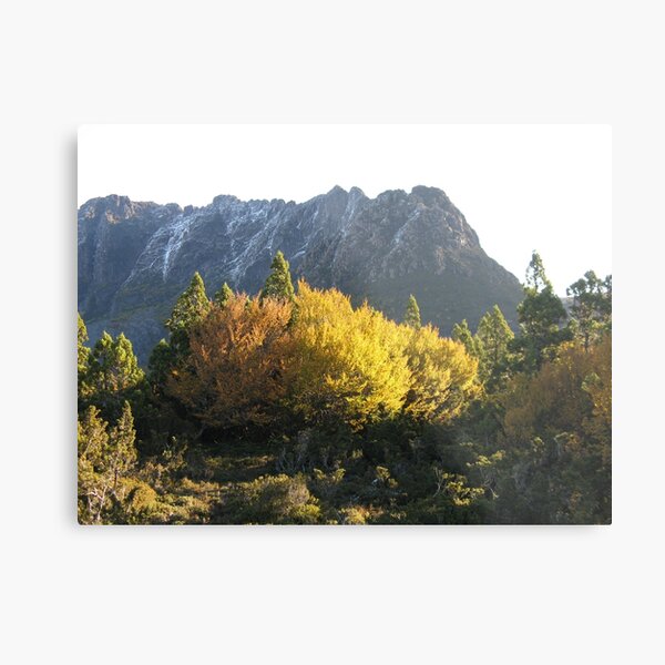 Item preview, Snowy east face of Cradle with Fagus designed and sold by PeterJF.
