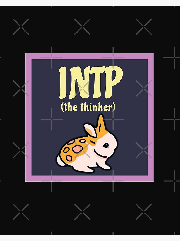 Usagi, Warrior of the Rabbit MBTI Personality Type: INTJ or INTP?