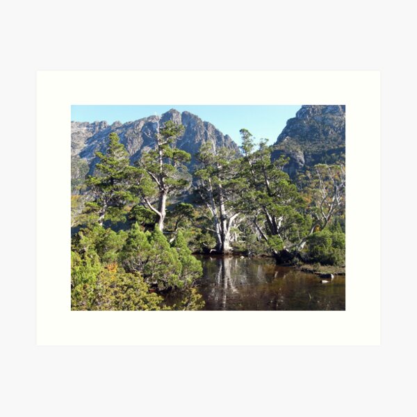 Item preview, Artists Pool Cradle Mountain designed and sold by PeterJF.