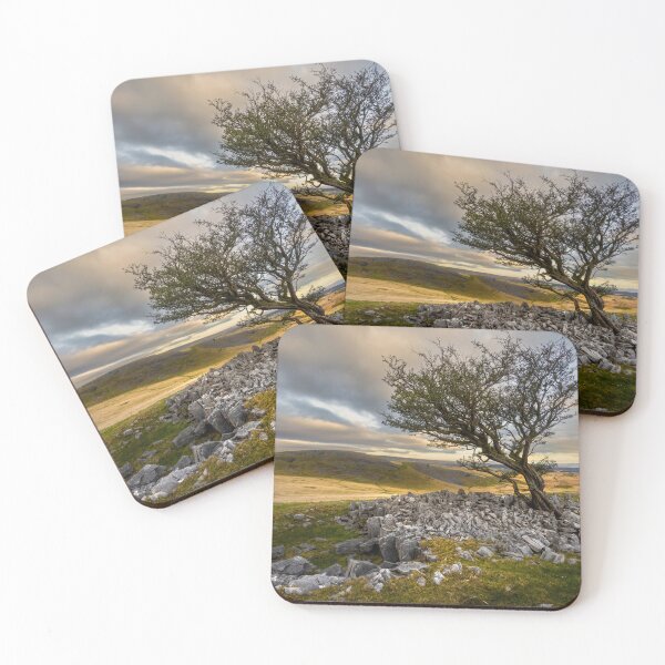 Item preview, A solo tree on the Brecon Beacons designed and sold by Leighton Collins.