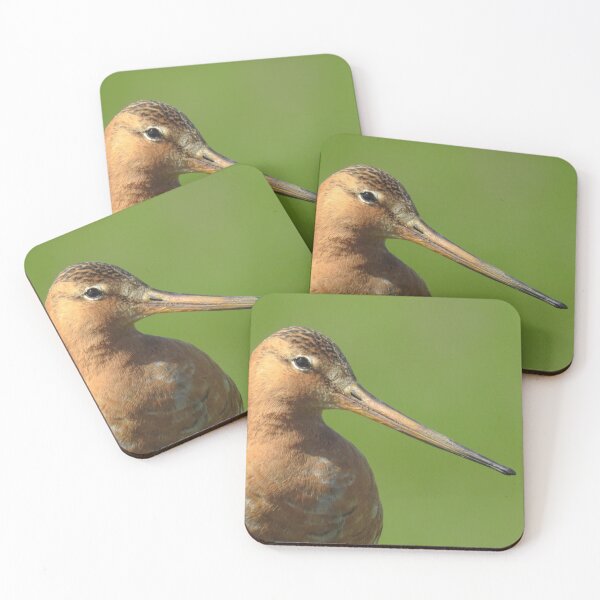 Item preview, Black tailed godwit designed and sold by Anita van Gendt.