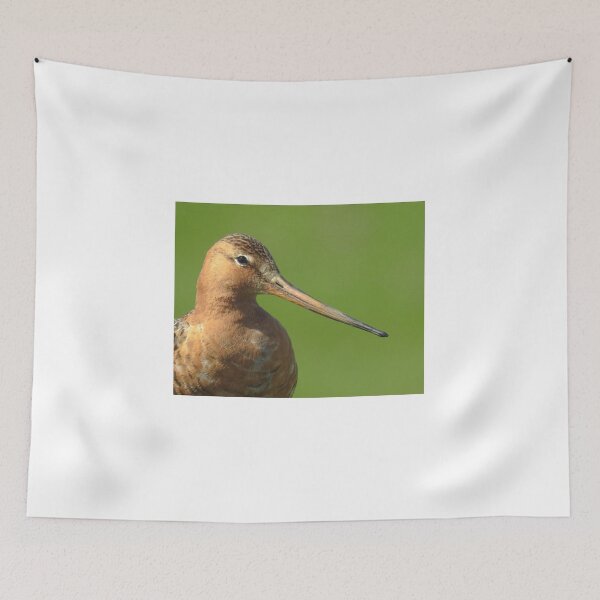 Item preview, Black tailed godwit designed and sold by Anita van Gendt.