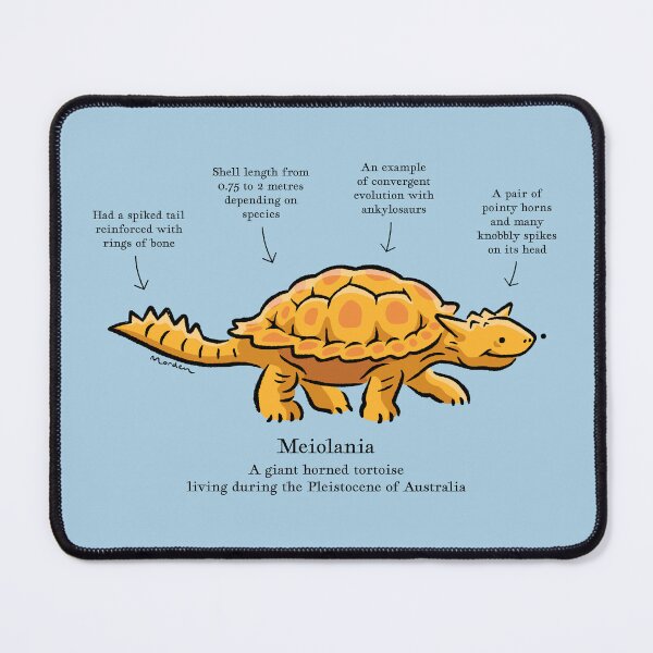 Item preview, Meiolania the prehistoric horned tortoise designed and sold by Richard Morden.