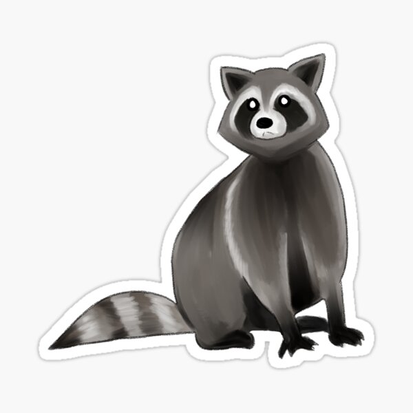 Raccoon Sticker