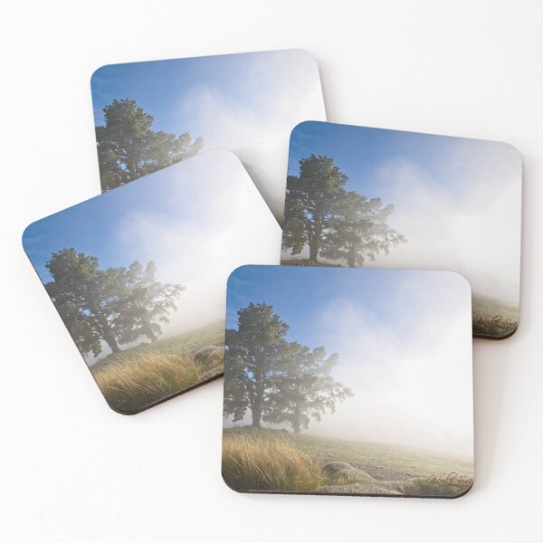 Item preview, Autumn Fog in Canberra (13) designed and sold by Wolf Sverak Photography.