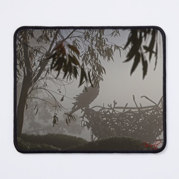Item preview, Autumn Fog in Canberra (11) designed and sold by Wolf Sverak Photography.
