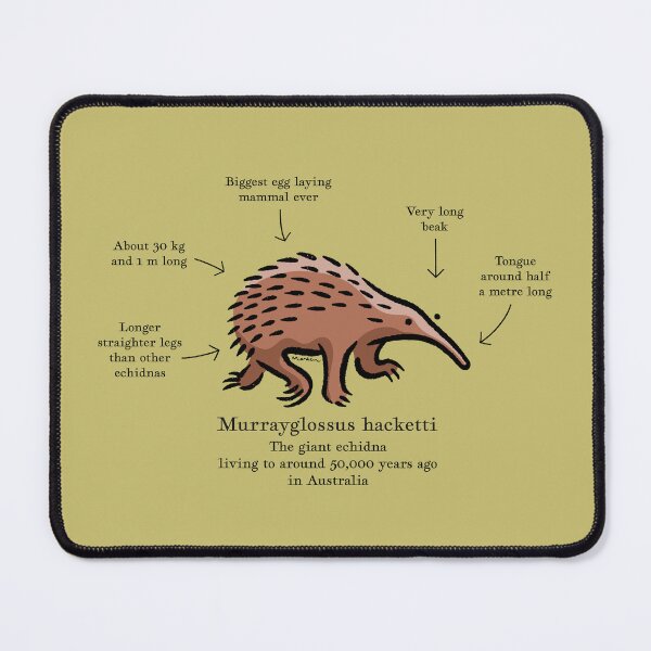 Item preview, Murrayglossus hacketti the prehistoric giant echidna designed and sold by Richard Morden.