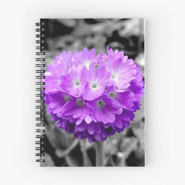 Item preview, Purple ball primrose  designed and sold by KaisPrints.