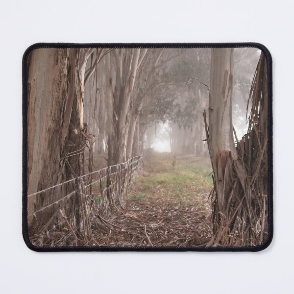 Item preview, Autumn Fog in Canberra (3) designed and sold by Wolf Sverak Photography.