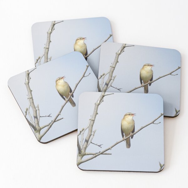 Item preview, Singing Sedge Warbler designed and sold by TwistedClassics.
