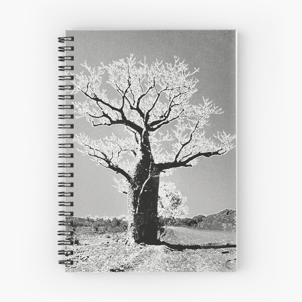 Item preview, Boab tree designed and sold by iLoMo.