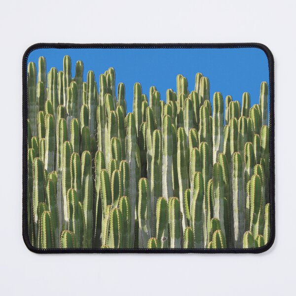 Item preview, Cactus | Cacti  designed and sold by simpleones.