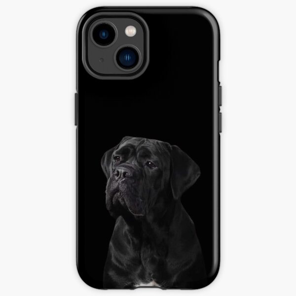 Stock Corso iPhone Robuste Hülle